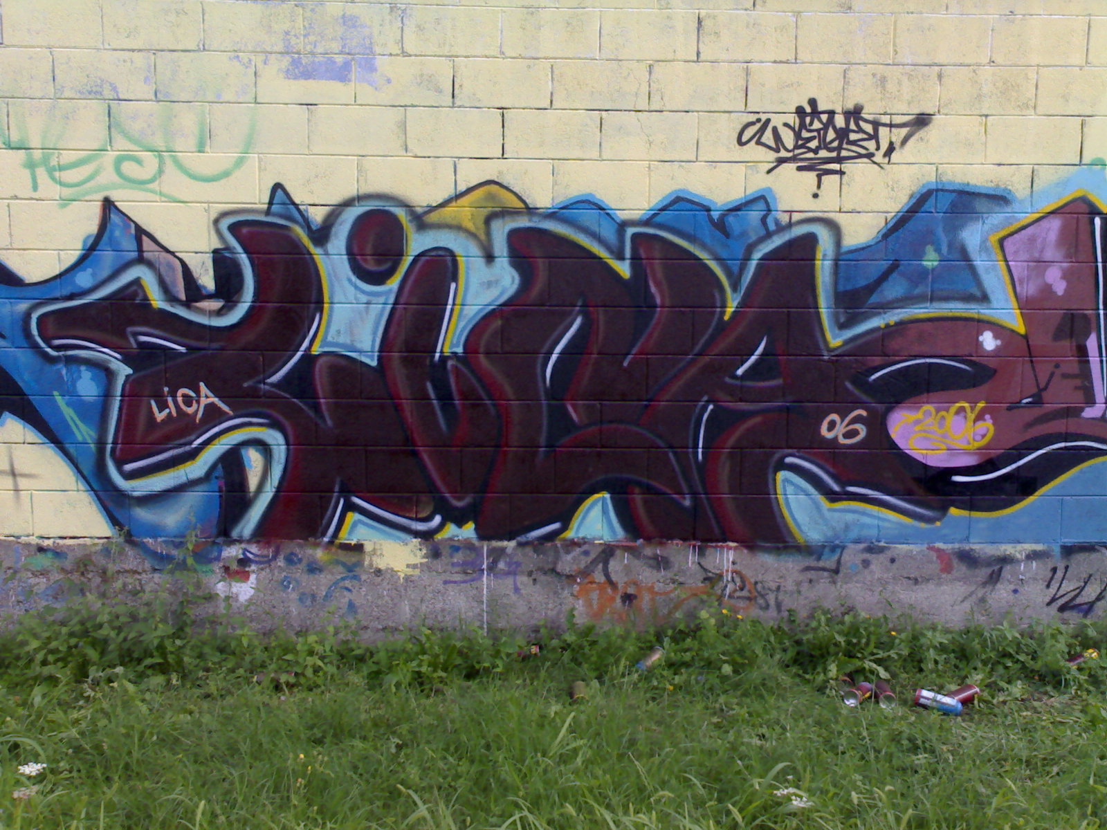 SOW: LICA